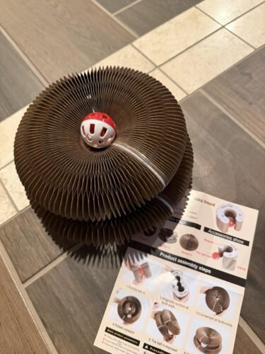 Kitty Kurlz™ photo review