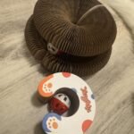 Kitty Kurlz™ photo review