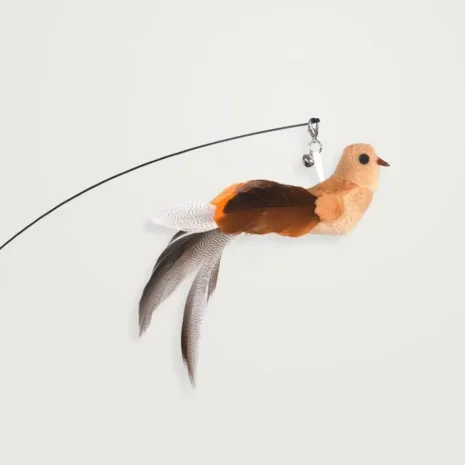 leos-paw-interactive-bird-simulation-cat-toy-set-leo-s-paw-1176986821_900x leos-paw-interactive-bird-simulation-cat-toy-set-leo-s-paw-1176986821_900x