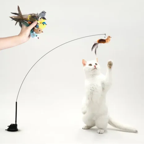 leos-paw-interactive-bird-simulation-cat-toy-set-leo-s-paw-1176986822_900x leos-paw-interactive-bird-simulation-cat-toy-set-leo-s-paw-1176986822_900x