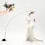 leos-paw-interactive-bird-simulation-cat-toy-set-leo-s-paw-1176986822_900x