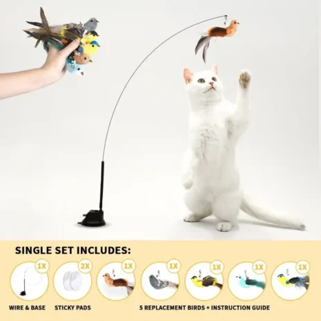 leos-paw-interactive-bird-simulation-cat-toy-set-leo-s-paw-1177098537_900x leos-paw-interactive-bird-simulation-cat-toy-set-leo-s-paw-1177098537_900x