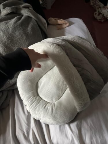 Click to view full screen Interactive Bird Simulation Cat Toy Set | Leo's Paw photo review