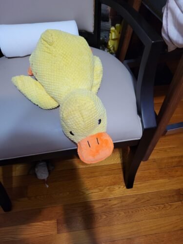 Click to view full screen Durable Duck | The Anxiety-Relief Toy Dogs Can’t Destroy photo review